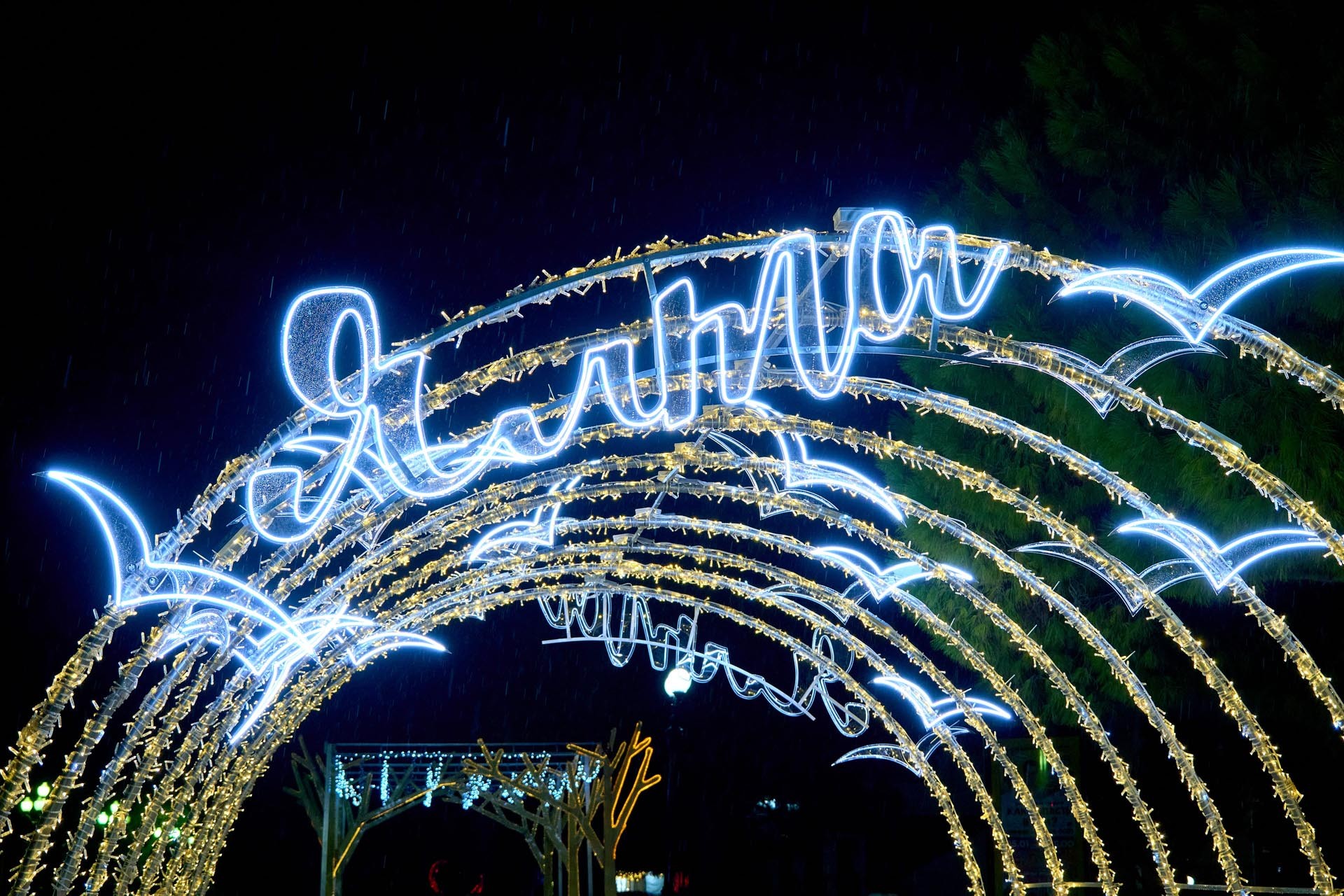 фотогалерея